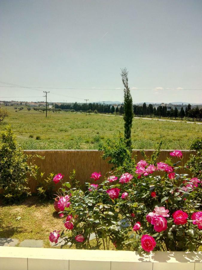 Studio Poseidonia Apartment 75Sqm Corinth Canal Luaran gambar